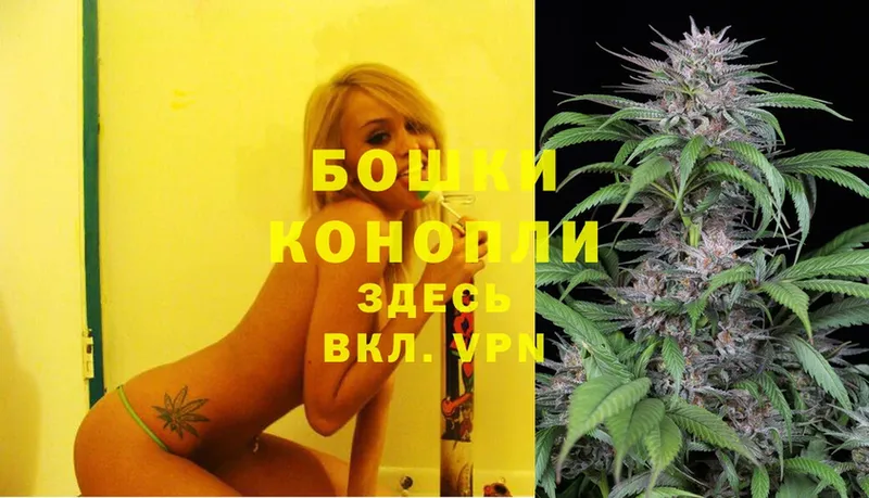 Конопля SATIVA & INDICA  кракен рабочий сайт  Терек 